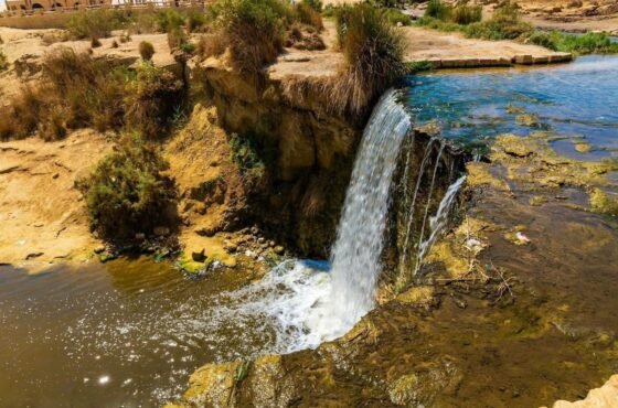 Full-Day Fayoum Oasis and Waterfalls of Wadi El-Rayan Tour from Cairo