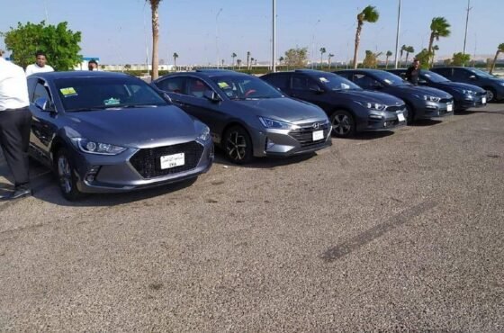 Private Transfer from Luxor to hurghada