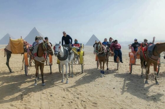 Best Day Trips in Cairo for First-Time Visitors
